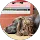 Kate swindin profile picture